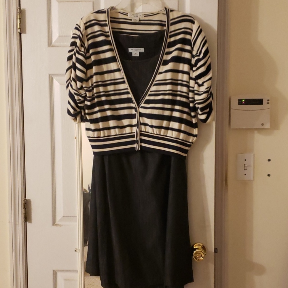 2 pc. Denim dress with sweater
